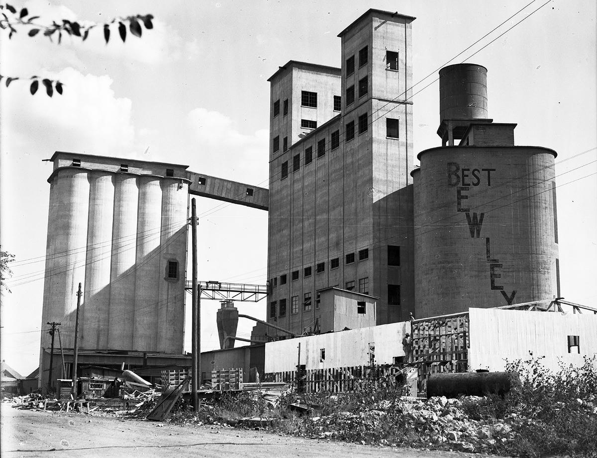 Preview link to intitutional record